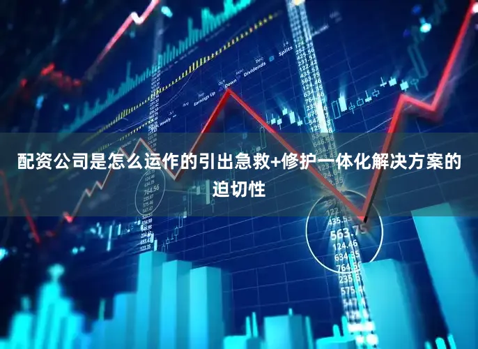 配资公司是怎么运作的引出急救+修护一体化解决方案的迫切性